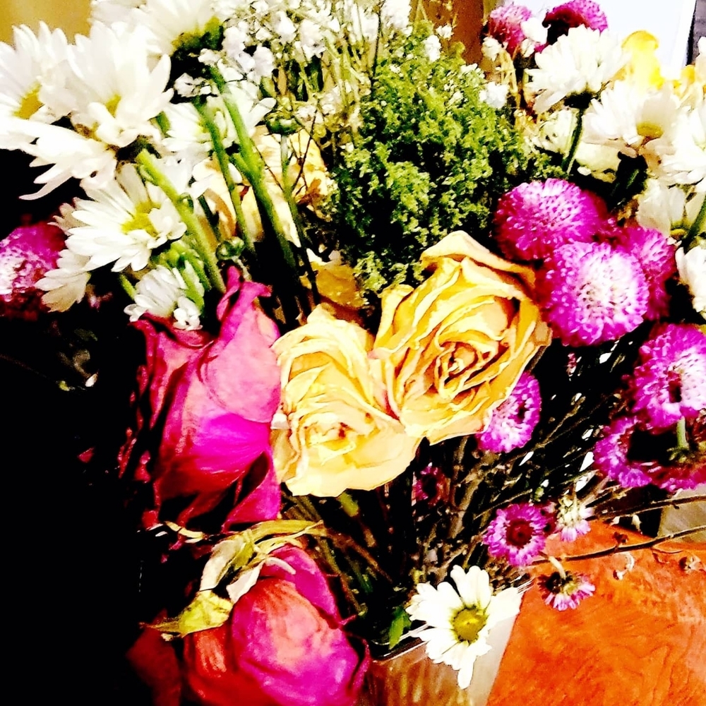 Meet your Posher, Charlotte